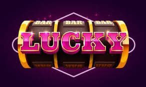 abo777